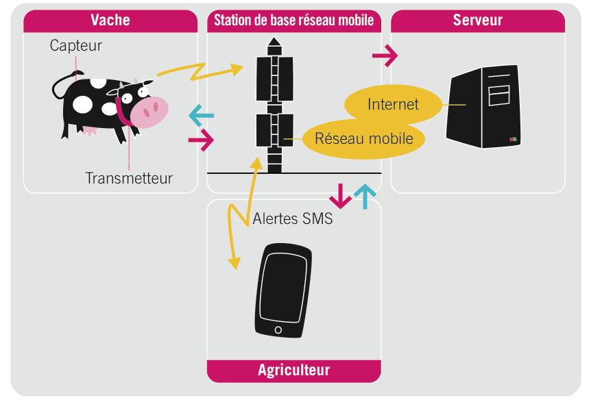 Freitag: Translating M2M vehicles to M2M animals 8 Anemon